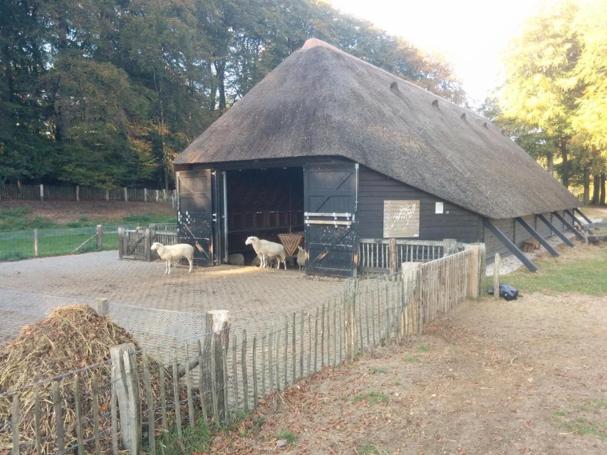 Chalet Hoenderloo Beuk Exterior photo